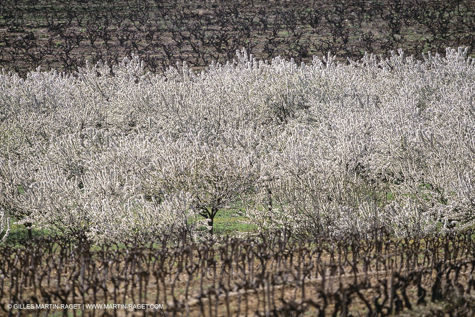 France, Provence, Paysages du Luberon, Luberon Landscapes