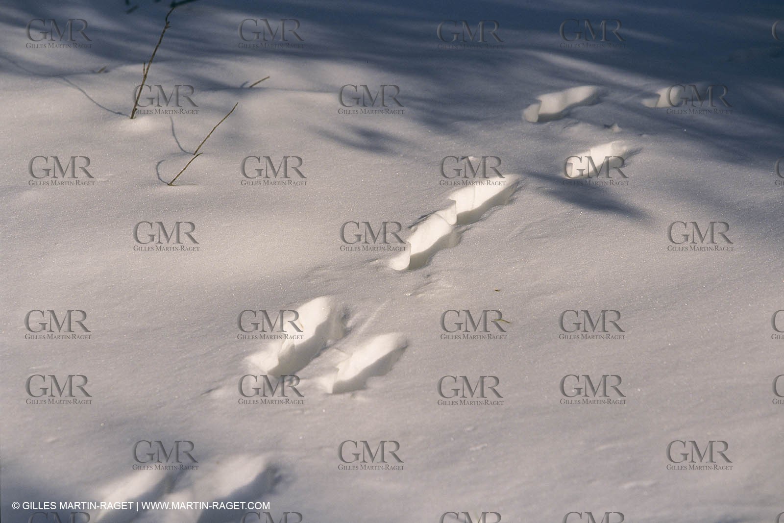 France, Provence, Neige en hiver   Snow in Provence