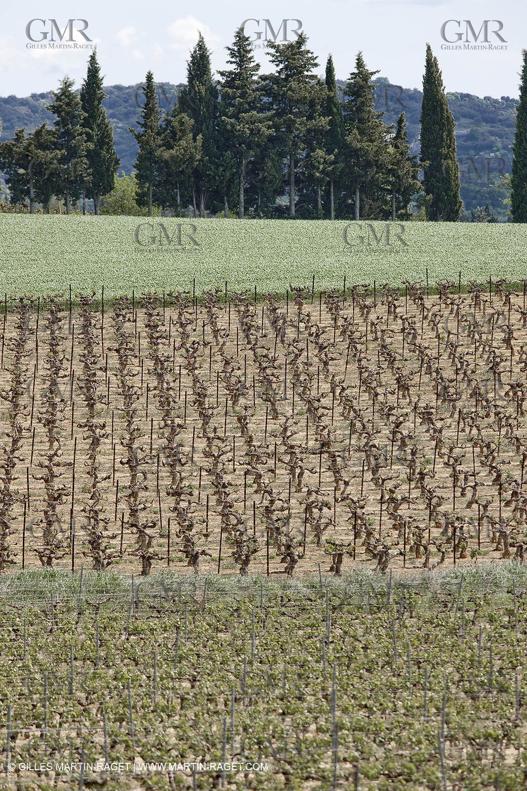 28 04 2009 - Saint Chaptes (FRA, 30) - Atlas Nîmes Métropole - campagne 2009