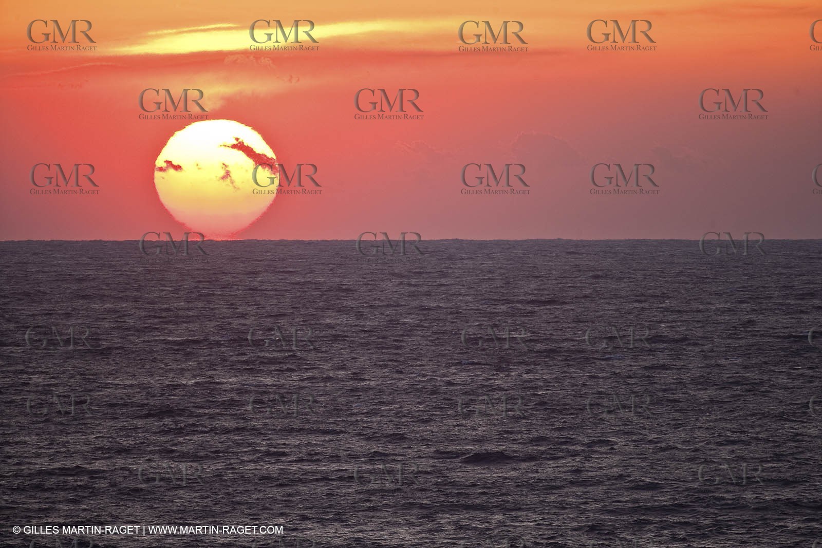 05 03 2009 - Pörquerolles Island south west coast (FRA, 83)