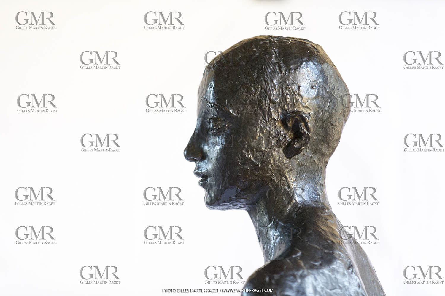 06 03 2016, Saint-Etienne du Grès (FRA,13), Oeuvre de Germaine Richier, Loretto I 1934, Bronze patiné foncé, Numéroté 4 6, fondeur Susse, Paris, 160 x 52 x 35 cm, Collection particulière