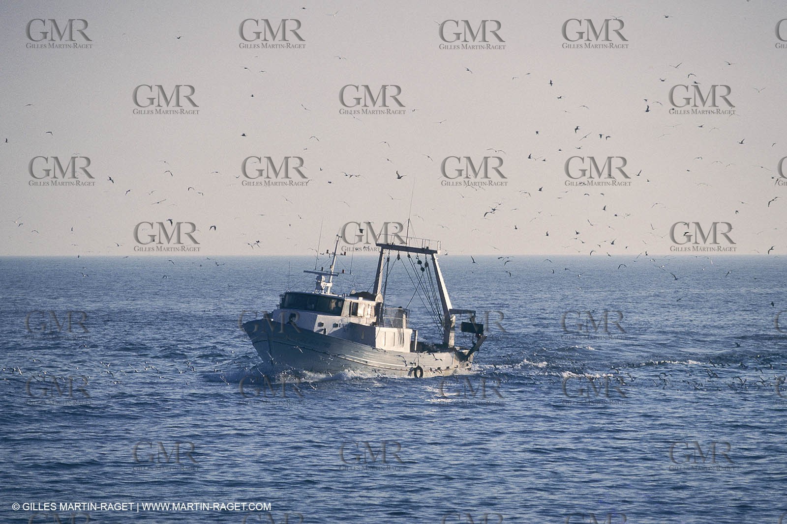France, Provence, Pêche locale, Local Fishing