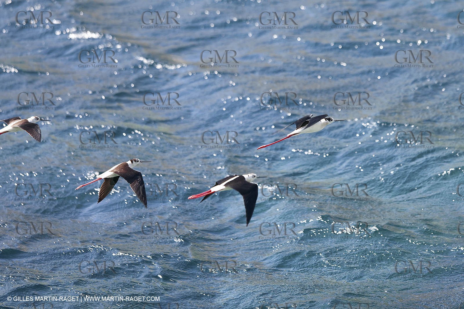 27 05 2009 - Marseille (FRA, 13) - Les Calanques - Sormiou