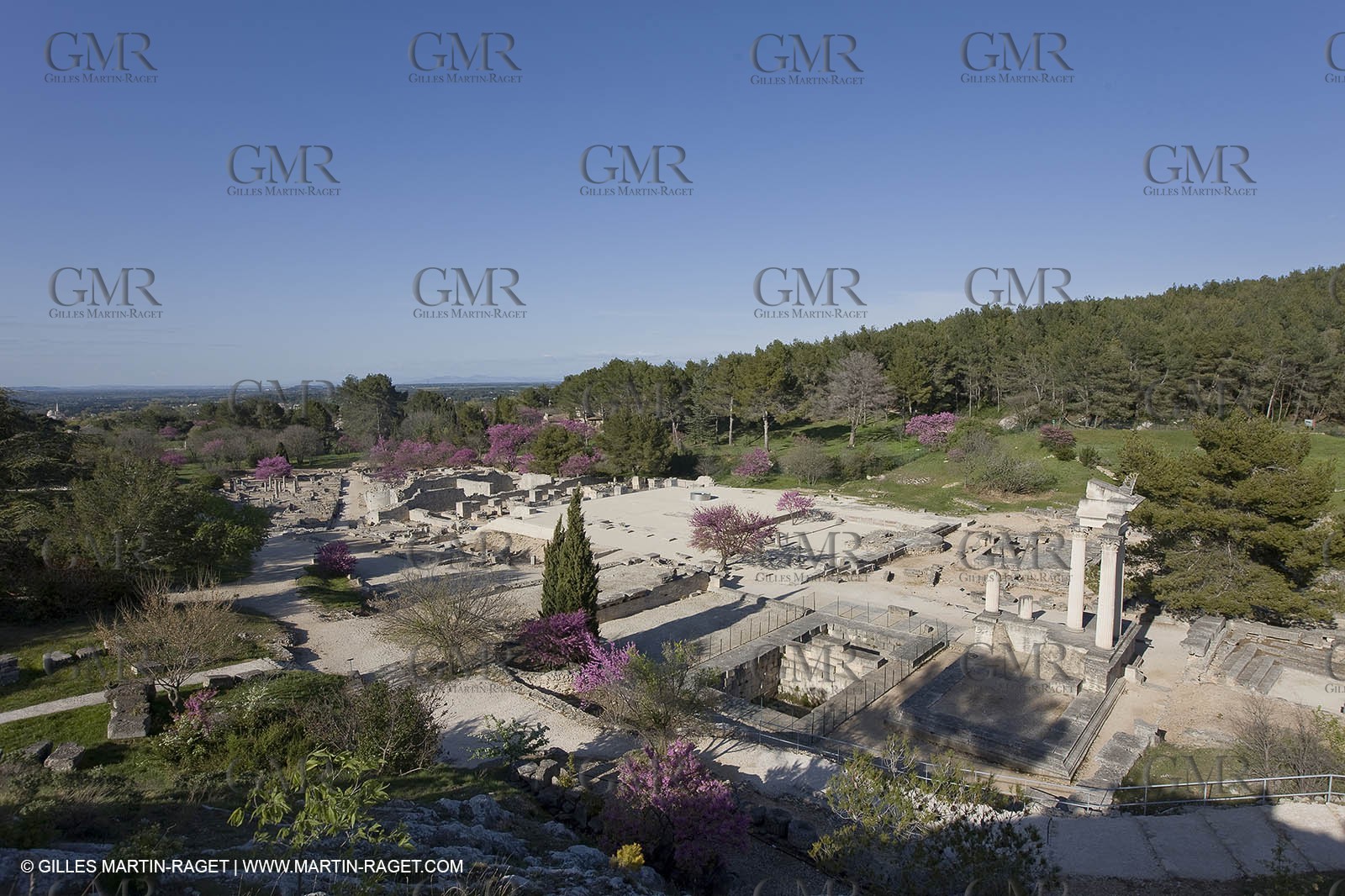 12 04 2008 - Saint Rémy de Provence - (FRA, 13) - Vincent Van Gogh south - Glanum roman ruin