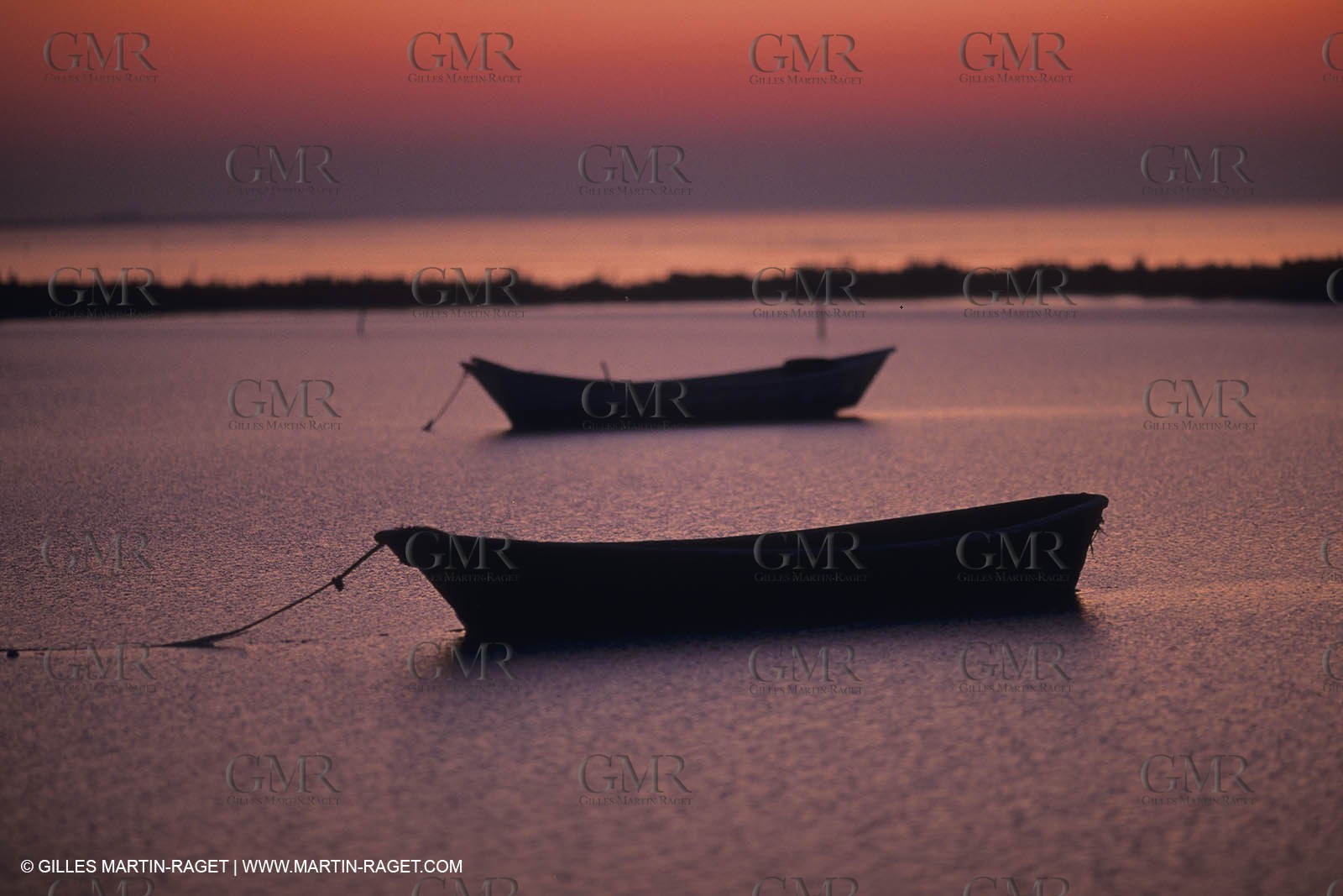 France, Provence, Camargue, Nature, marais, plage, beaches, marshes