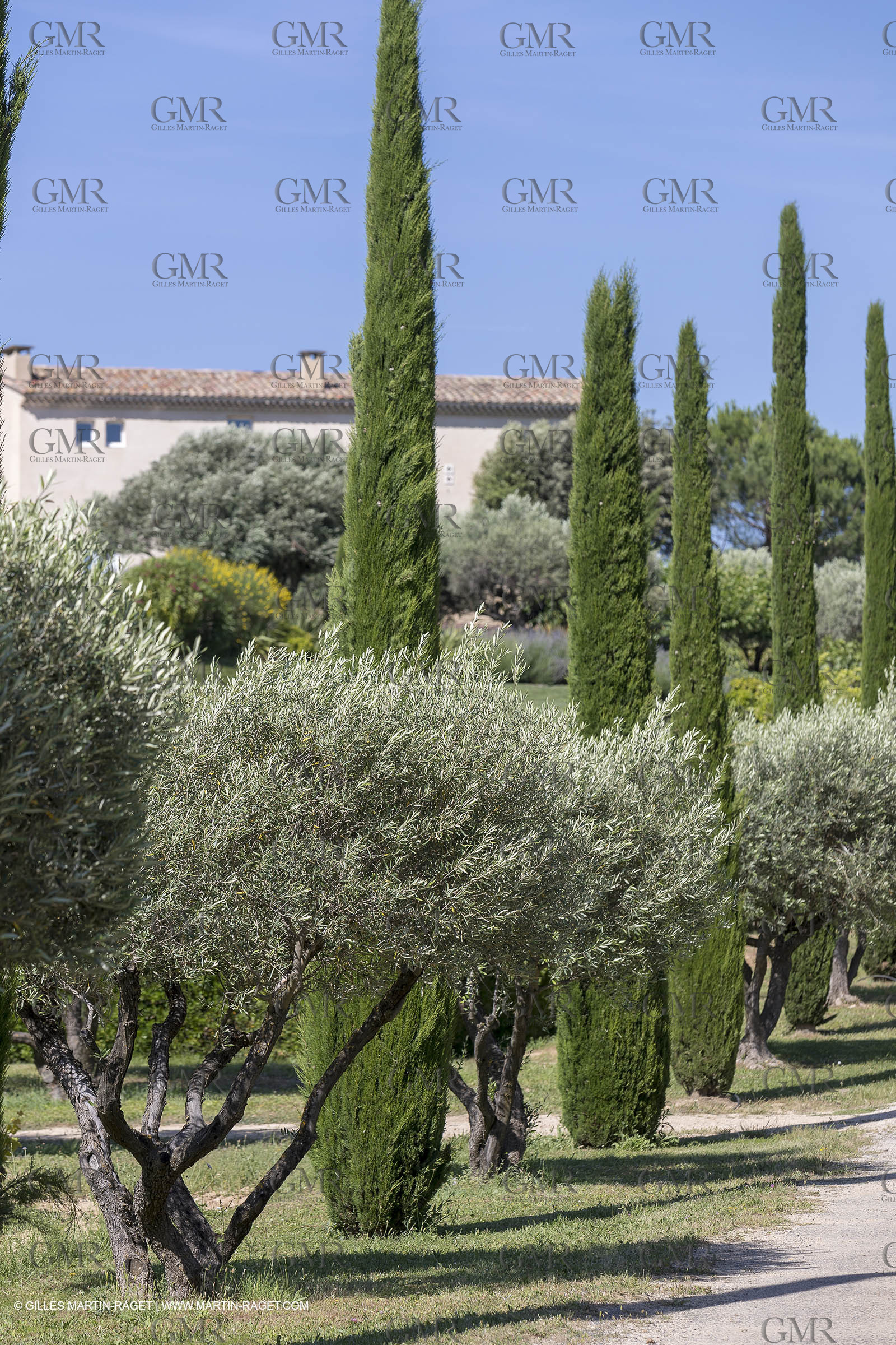 22 06 2018, Saint-Saturnin les Apts (FRA,84), Domaine des Andéols