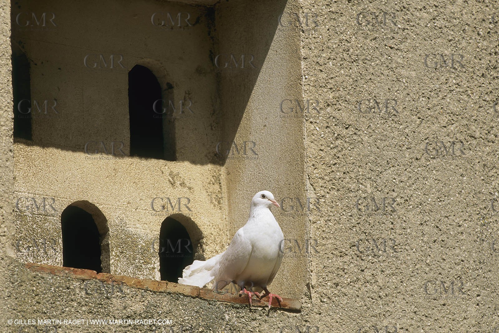 France, Provence, Mas, maison, propriétés, Vansorgues