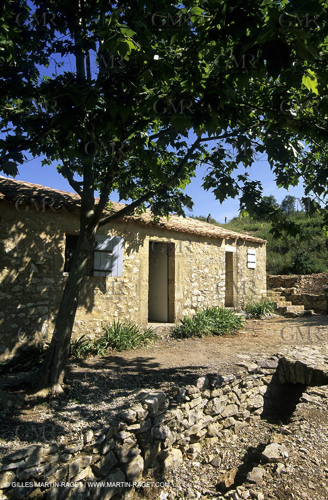 Nîmes garrigue