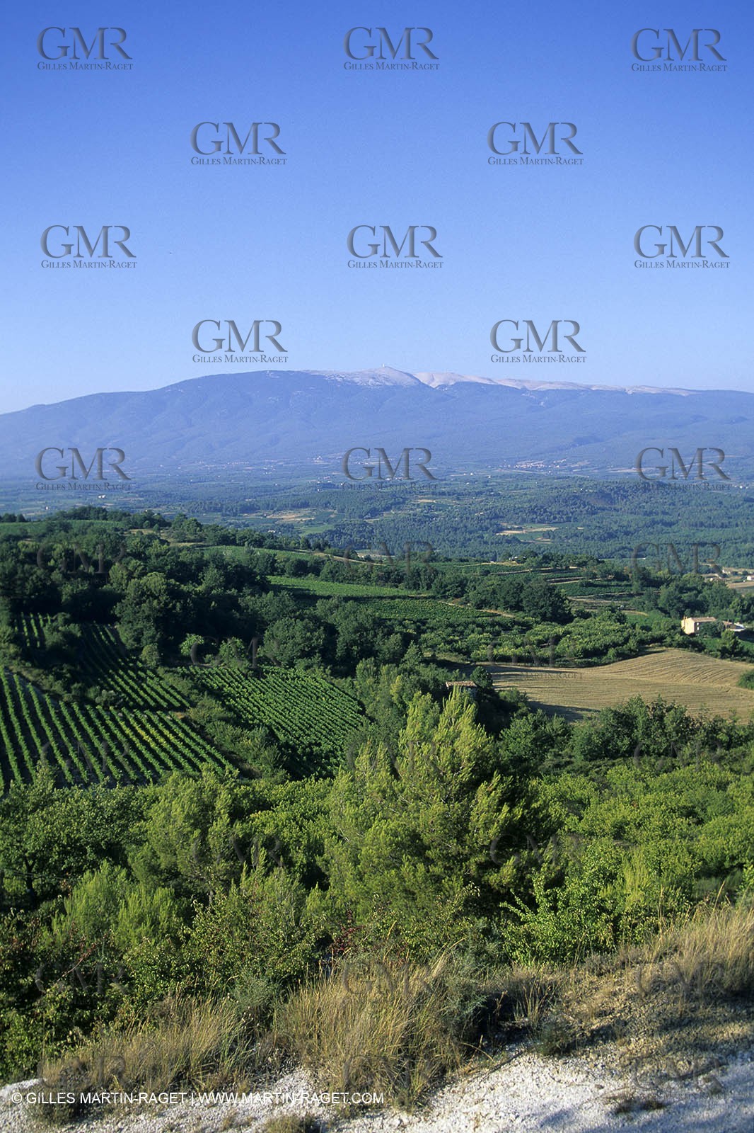 Provence - Cotes du Rhone - Mont Ventoux