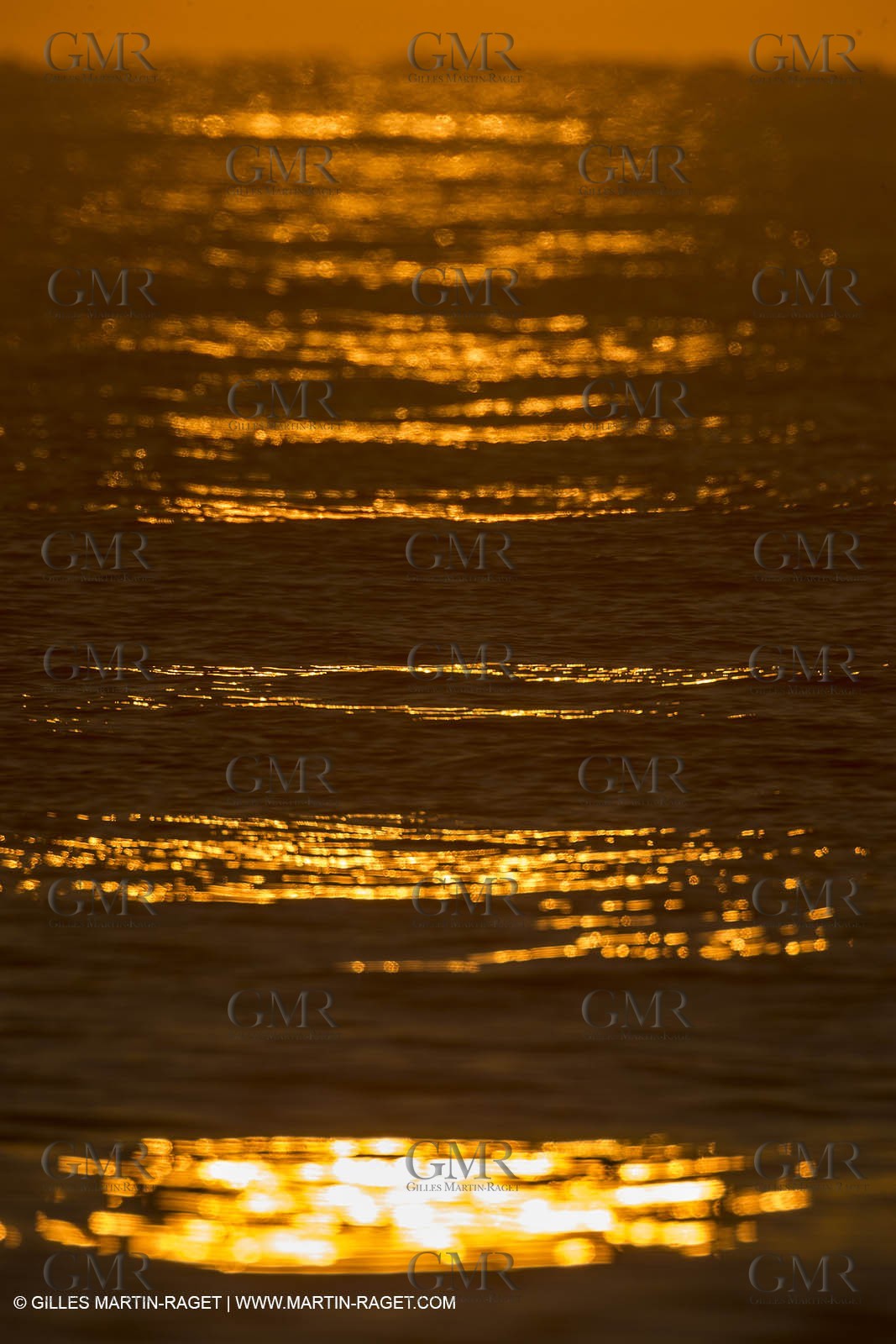 21 12 2014, Barcelona (ESP), Barcelona World Race 2014-15,