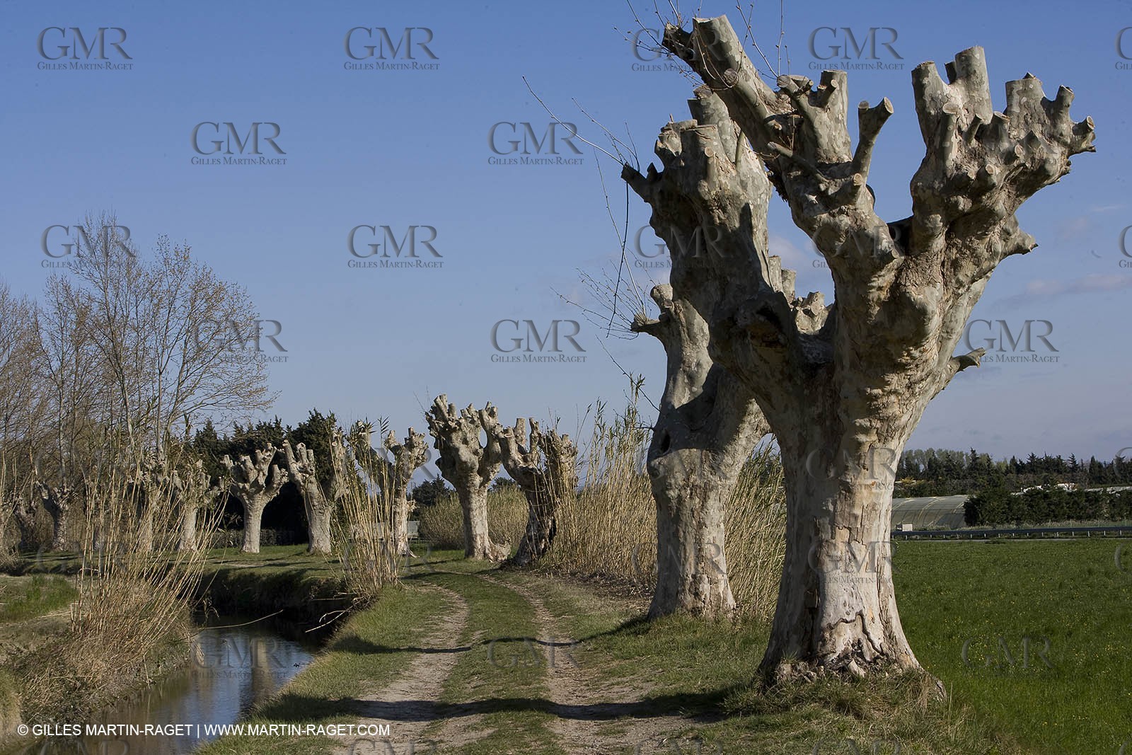 25 02 2005 - Arles and surroundings (FRA, 13) - Vincent Van Gogh south