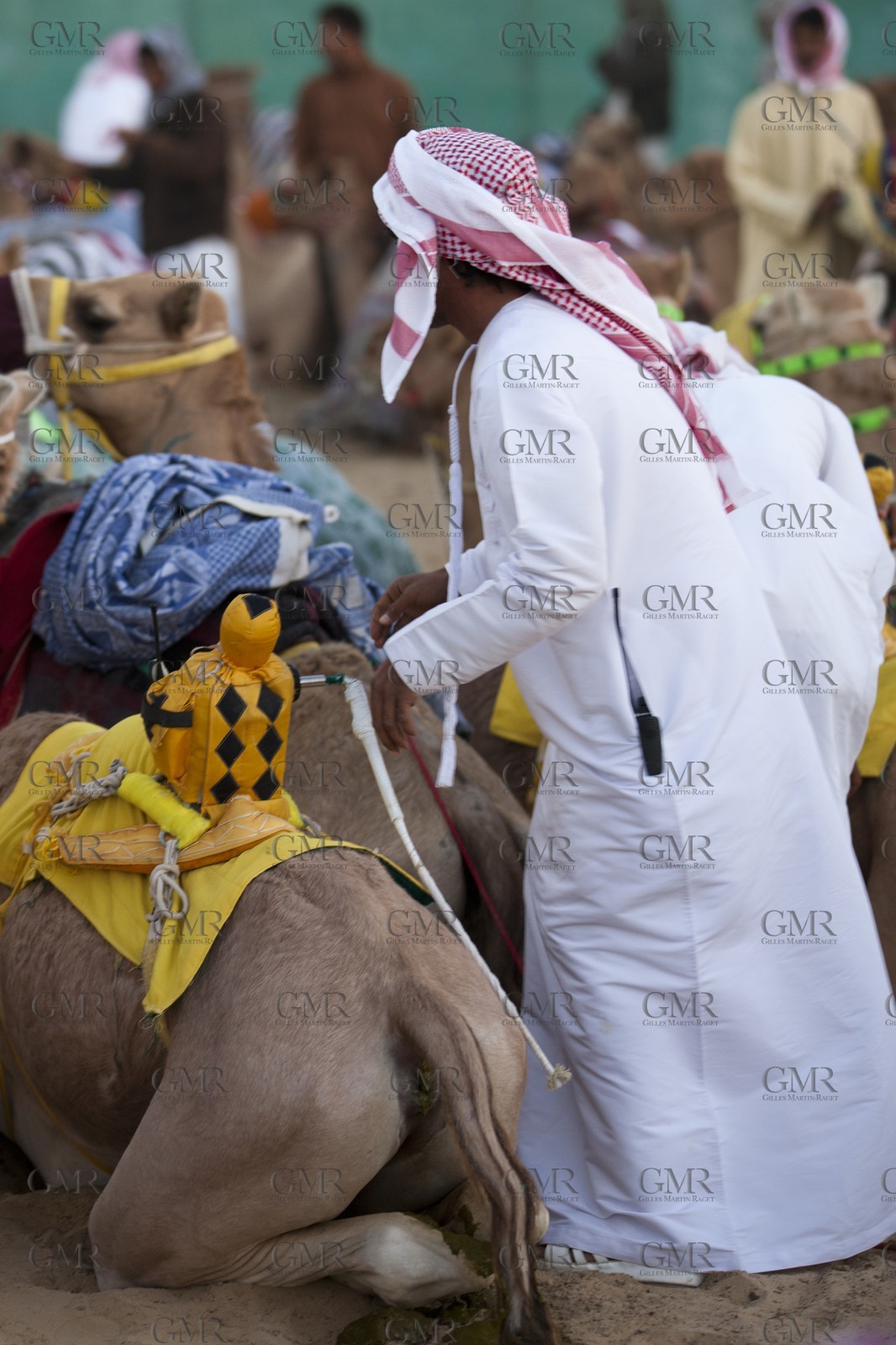 20 11 2010 - Dubai (UAE) - Camel races