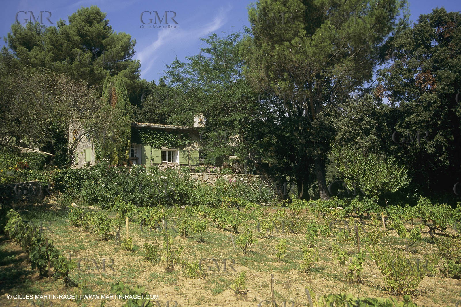 France, Provence, Mas, maison, propriétés, Vansorgues