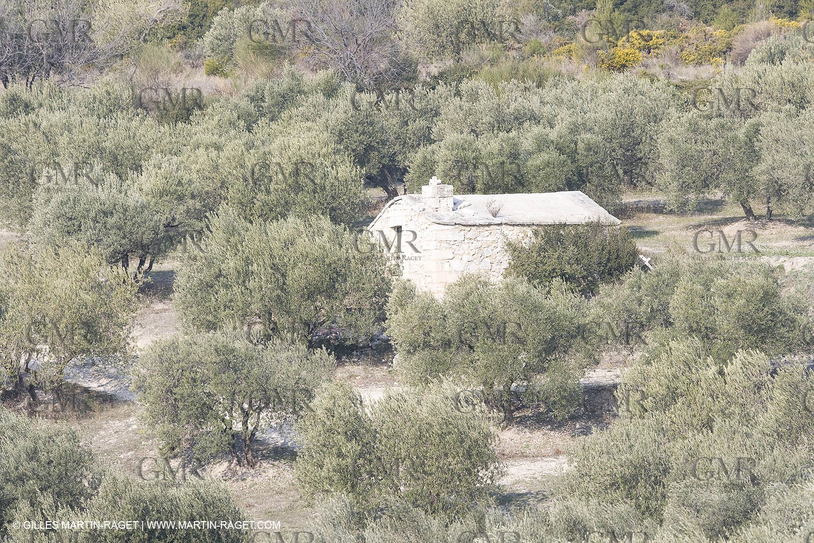 16 02 2008 - Les Baux de Provence (FRA, 13) - Alpilles hills landscapes