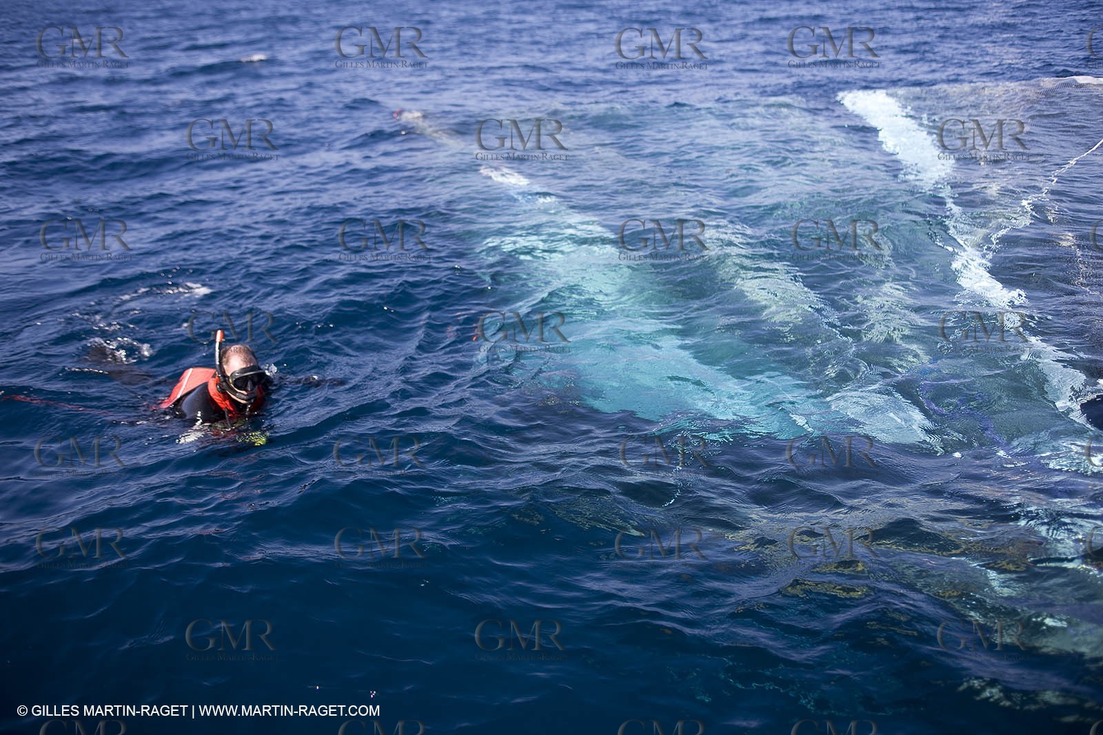 03 11 2009 - San Diego (USA, CA) - 33rd America's Cup - BMW ORACLE Racing - - BOR 90 dismasts when Trialing off San Diego
