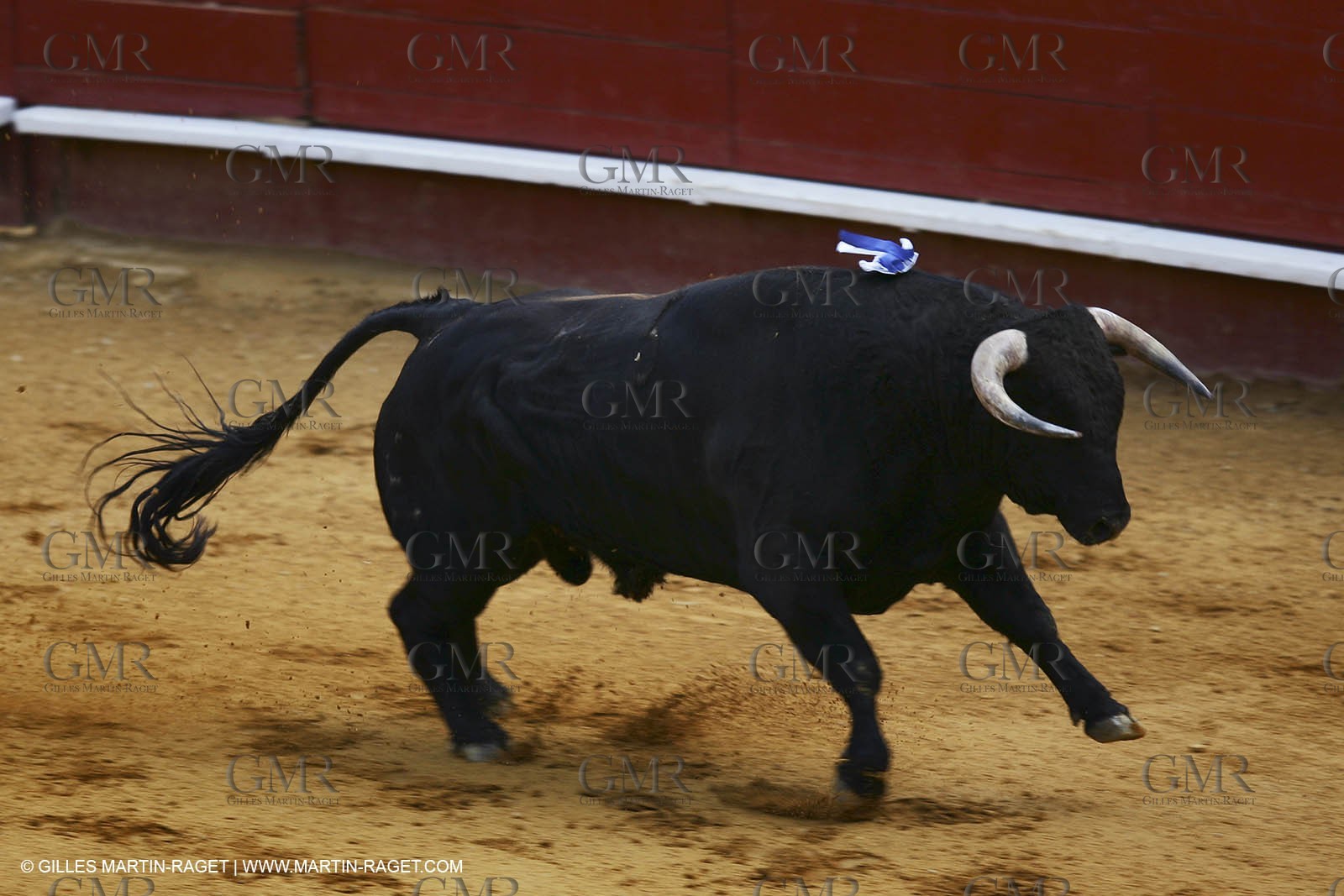 10 10 2004 - Valencia