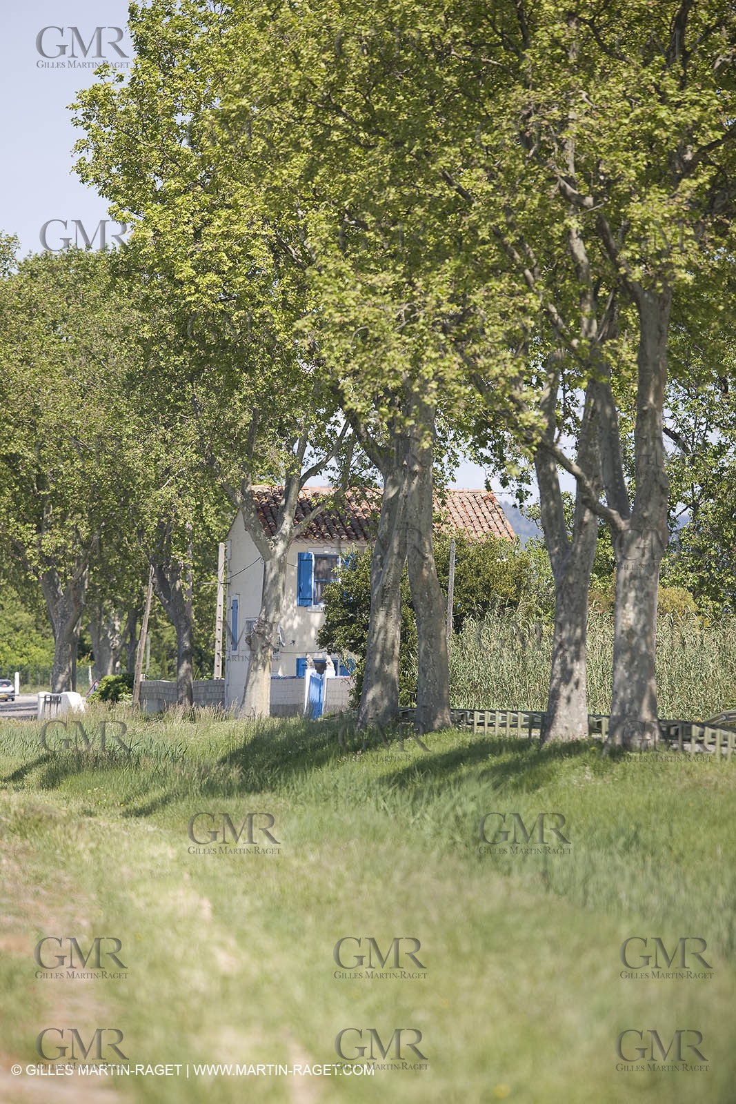 01 05 2008 - Arles (FRA,13) - Queen of Arles election