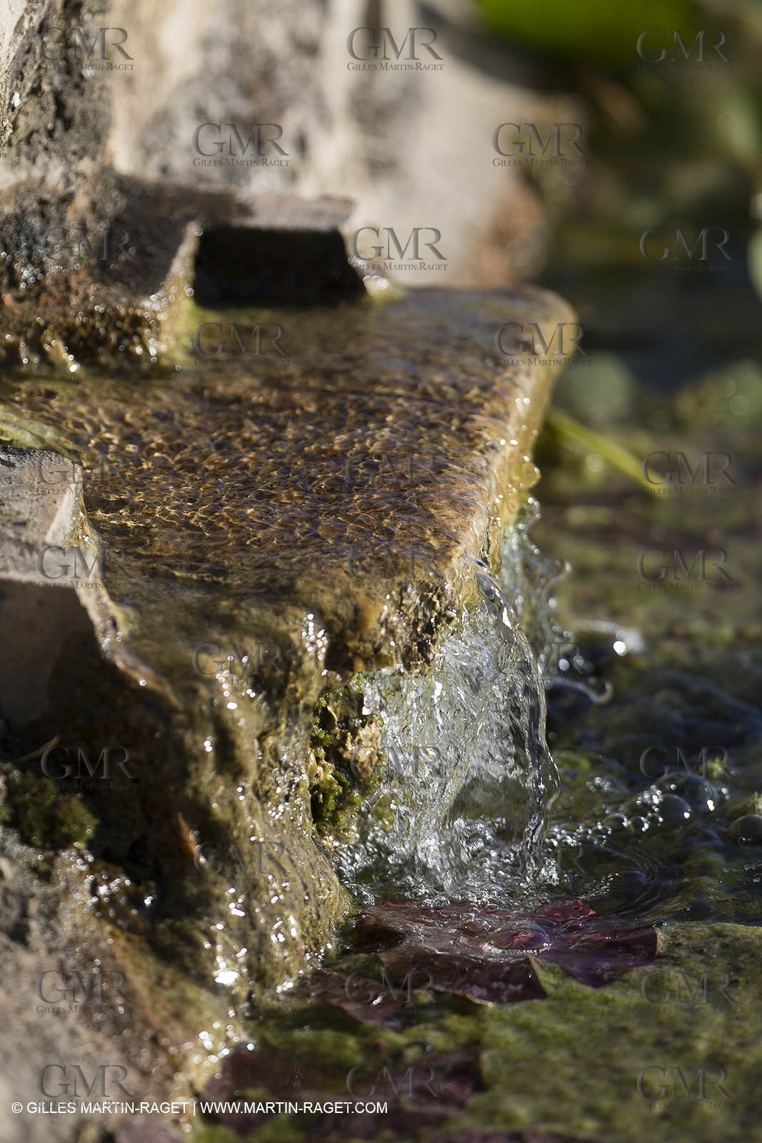 Domaine de la Baume - Tourtour (FRA,83) - 15 05 2014