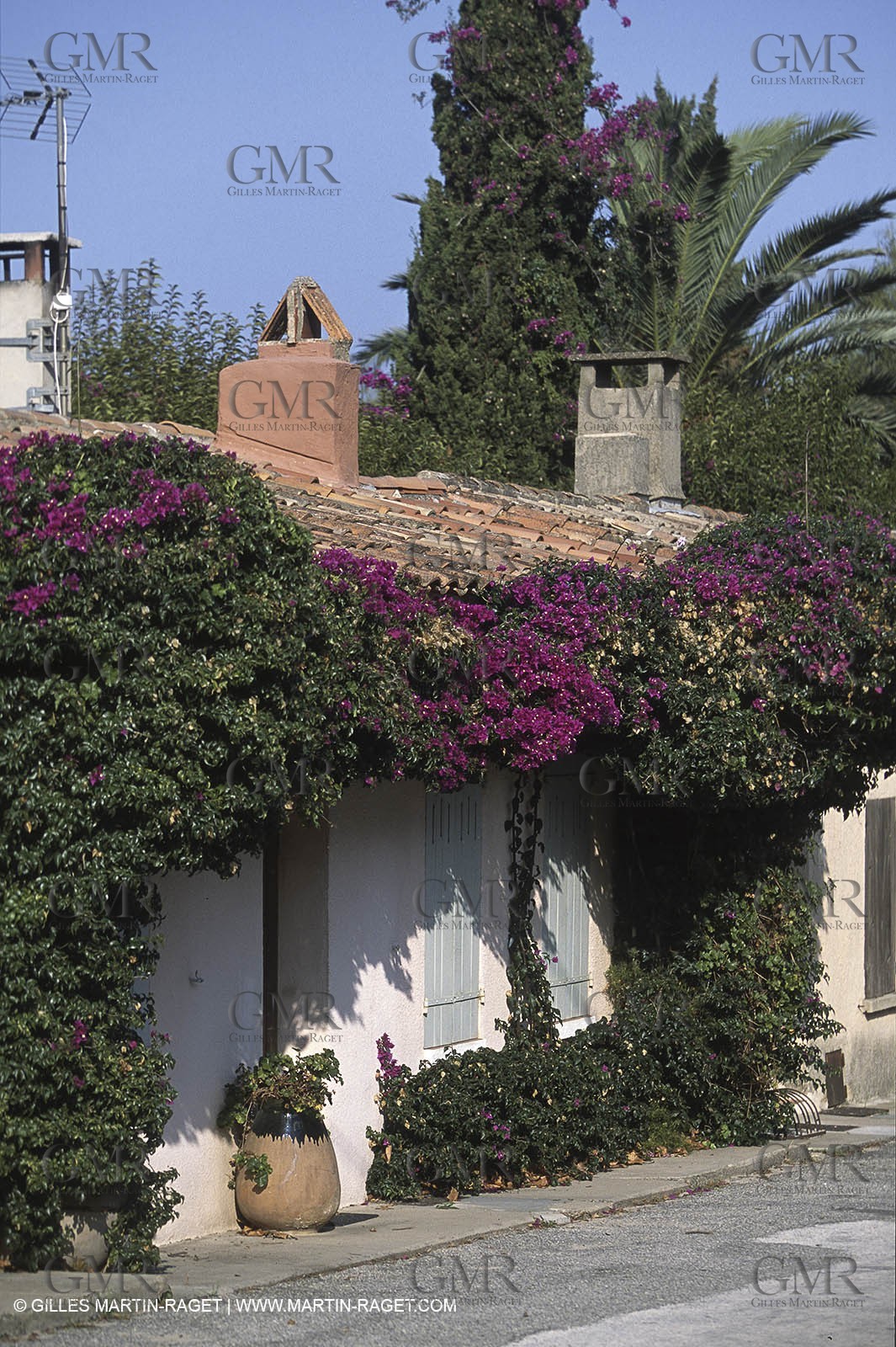 Var, 'Hyères islands, (FRA, 83), Porquerolles island