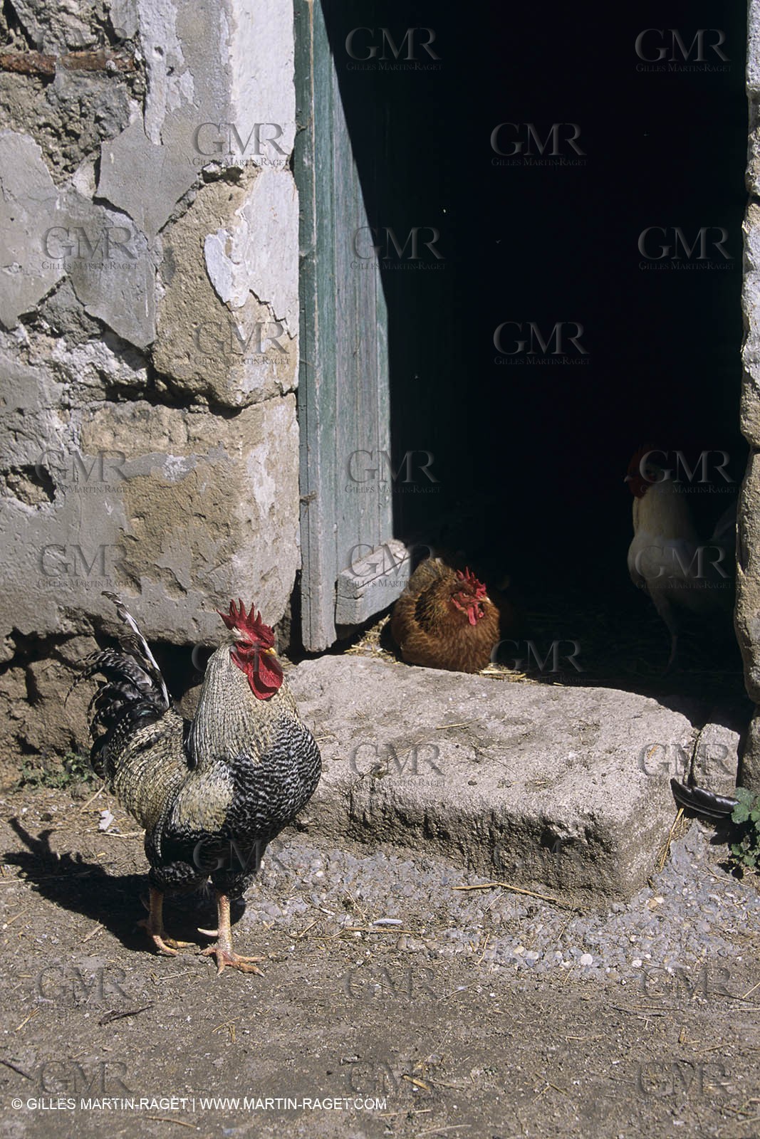Camargue (FRA) - houses and cants from Camargue