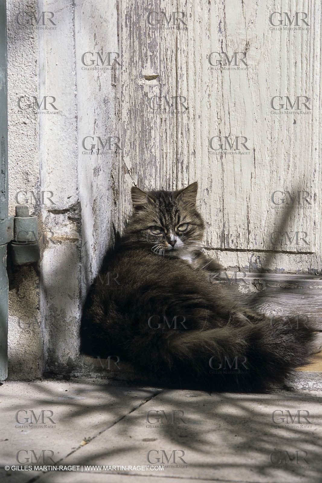 Camargue (FRA) - houses and cants from Camargue
