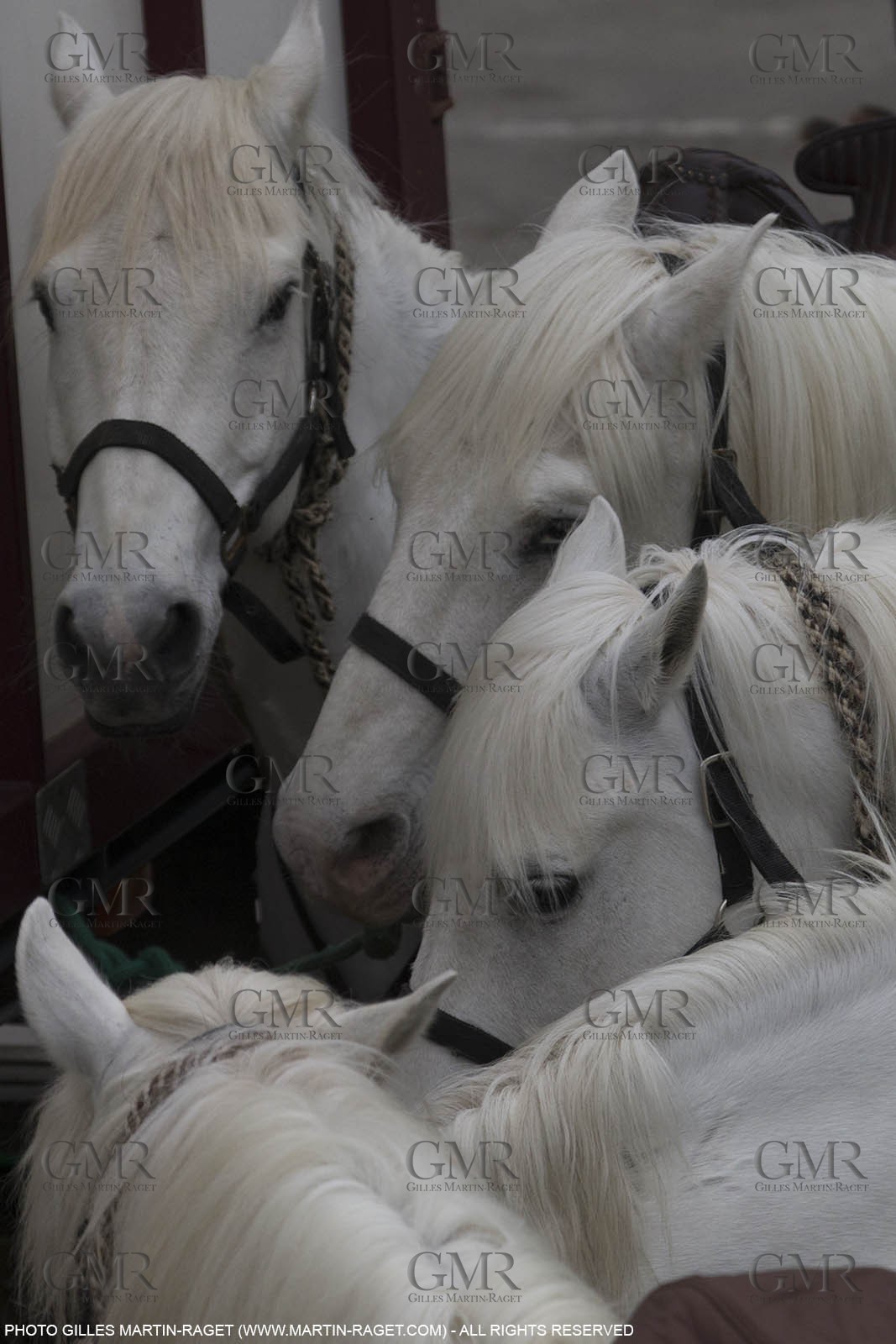 01 05 2015, Arles (FRA,13), Camargue Gardians Fest