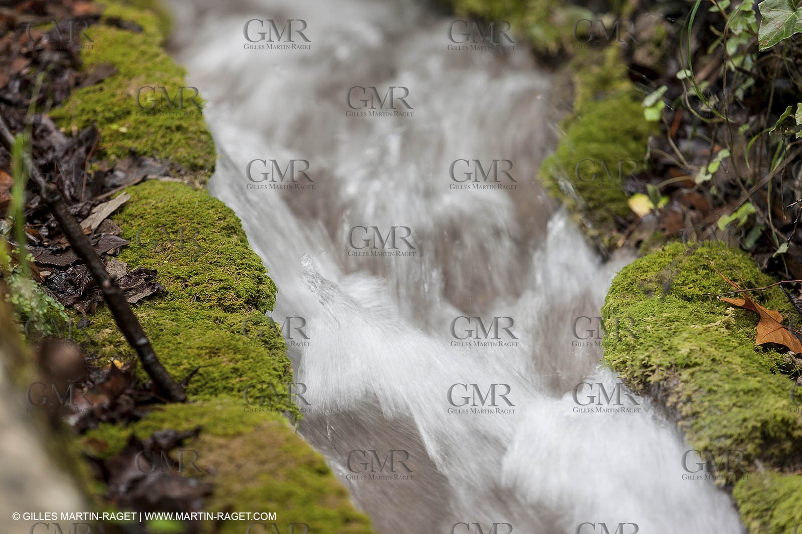 23 10 2012 - Gemenos (FRA) - Parc Départemental de la vallée de Saint Pons