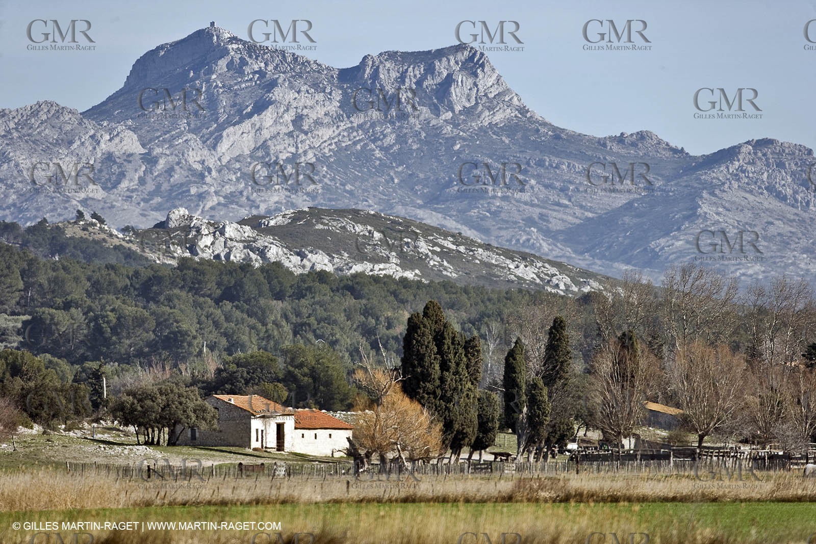 05 02 2008 - Arles (FRA, 13) - Arles surroundings landscapes