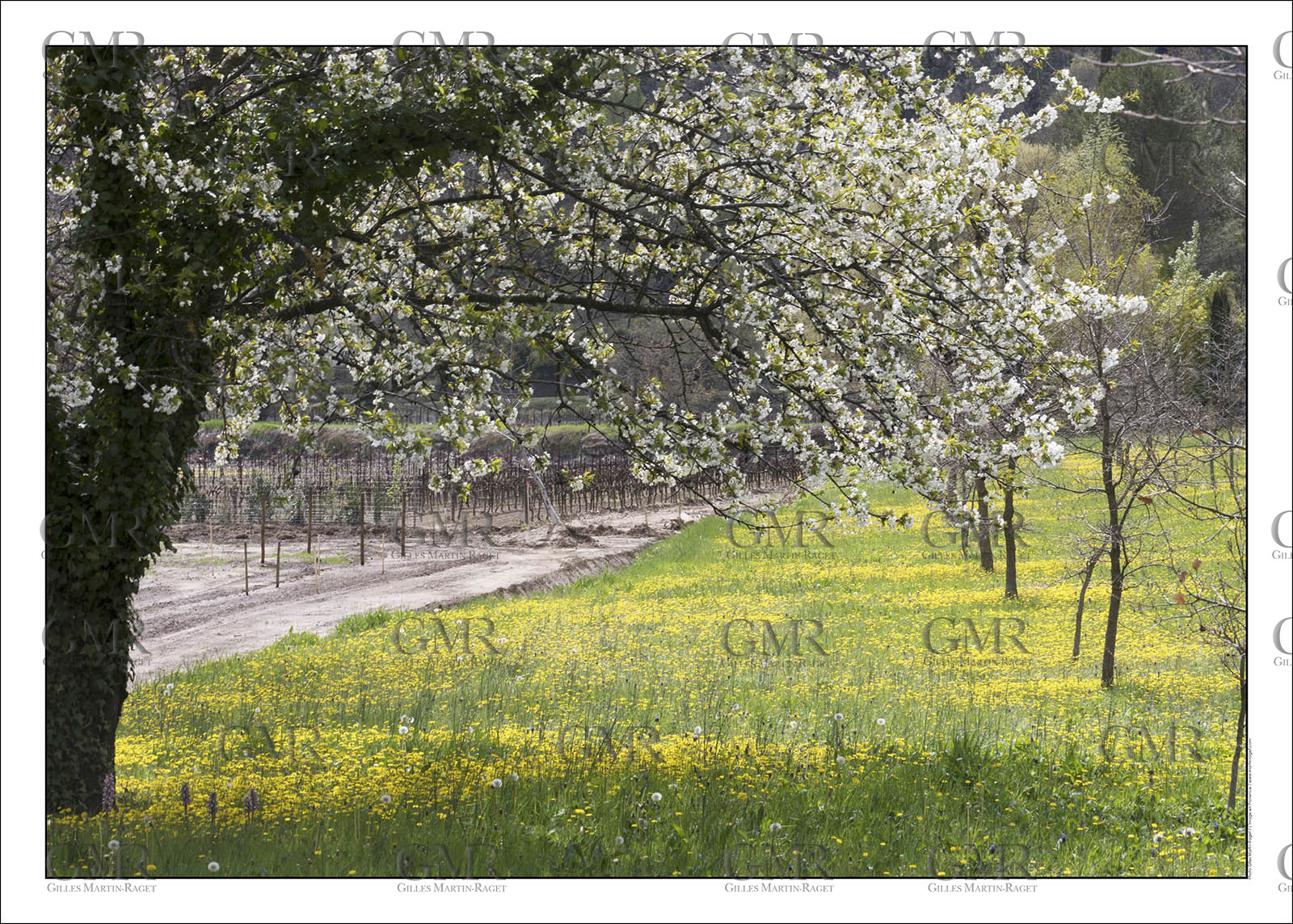 Product: in house made quality print on 8 ultrachome colors Epson ink Jet printer.Available sizes: . 30x40 cm. 50x70 cm. 80x120 cmAvailable papers: . Standard 250 gr glossy paper print, black streak, white margin, no signature. Top quality glossy 290 gr. paper, black streak, white margin, checked and signed by the author. Fine Art print (signed, numbered, stamped, registered) on demand. Other supports (Canvas, Acrylic, Metal) on demandPackaging: cylindric reinforced tubeShipping options: regular mail or Shipping companyClick on the basket icon to select your options and start the online ordering process