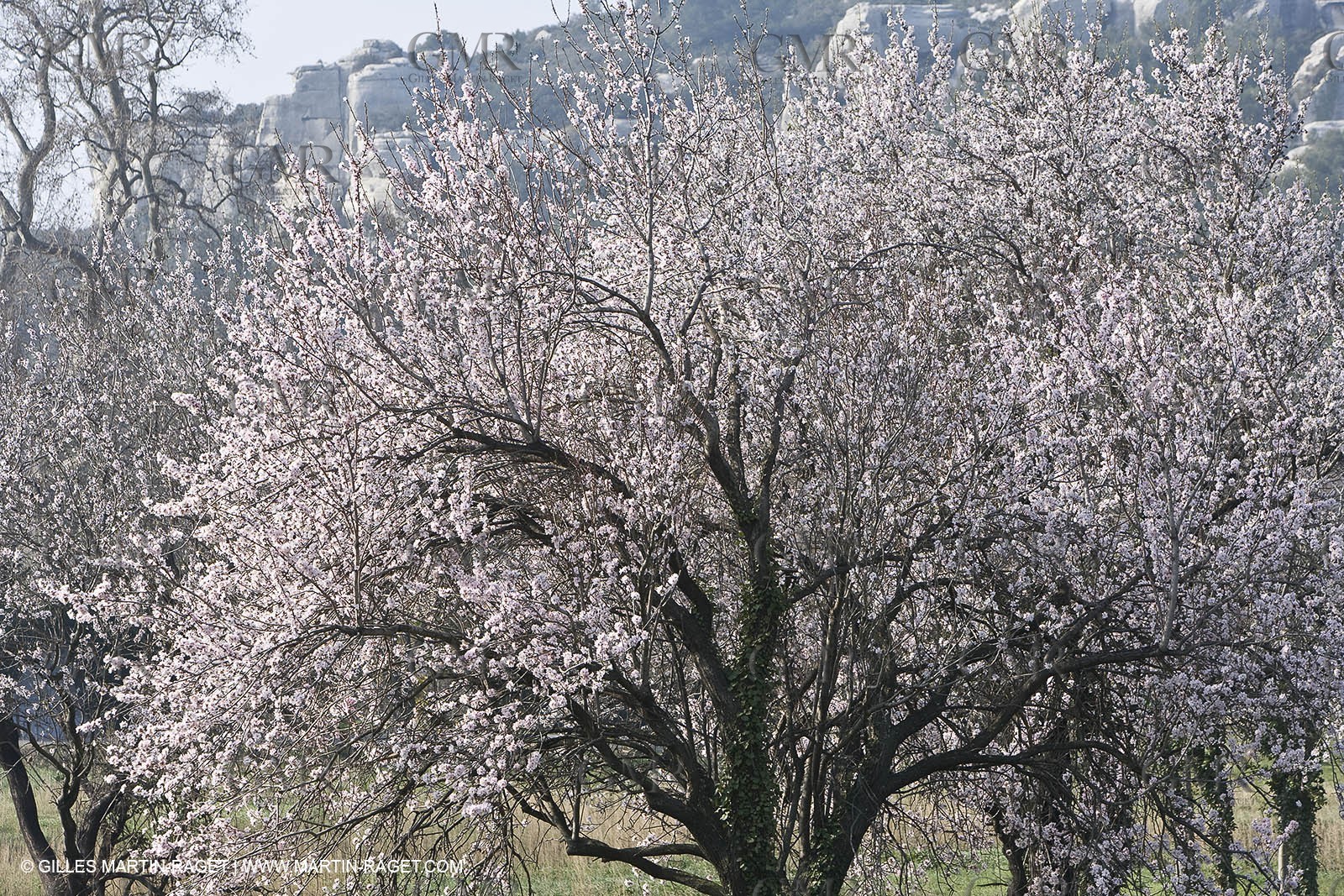 16 02 2008 - Les Baux de Provence (FRA, 13) - Alpilles hills landscapes