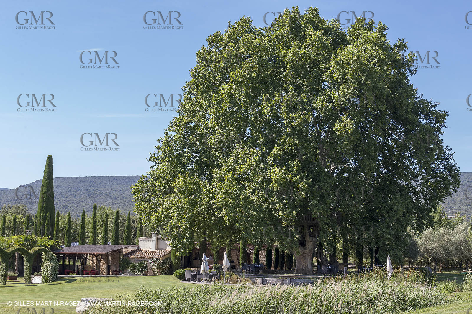 22 06 2018, Saint-Saturnin les Apts (FRA,84), Domaine des Andéols