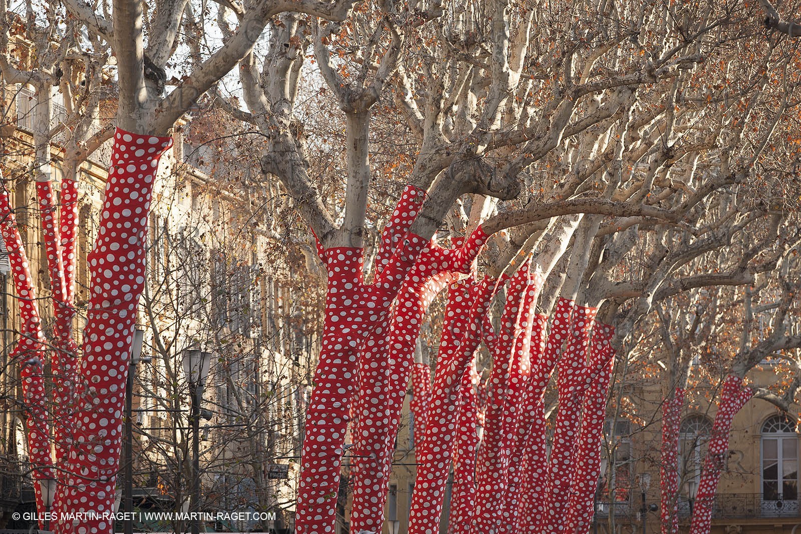 12 01 2013 - Aix en Provence (FRA,13) - Marseille Provence 2013, Capitale Européenne de la Culture, L'Art à l'endroit, Oeuvre de Huang Yong Ping