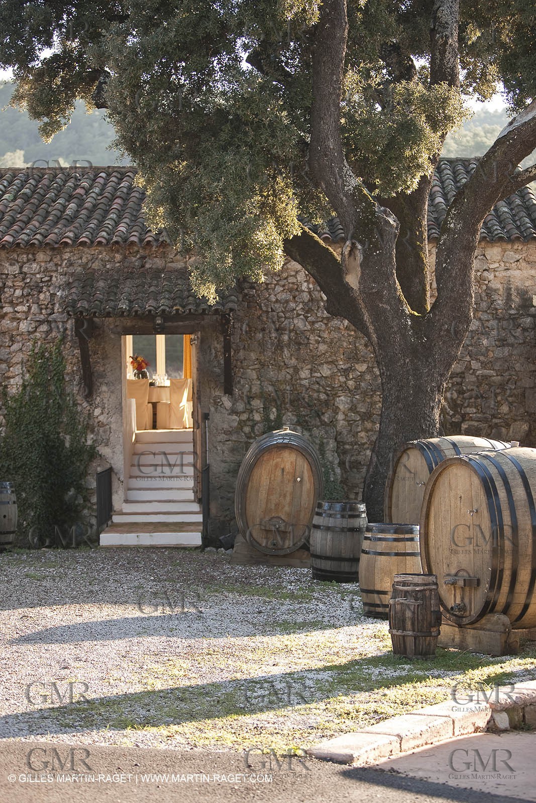 22 12 2008-Cabasse (FRA,83) - Domaine du Lac