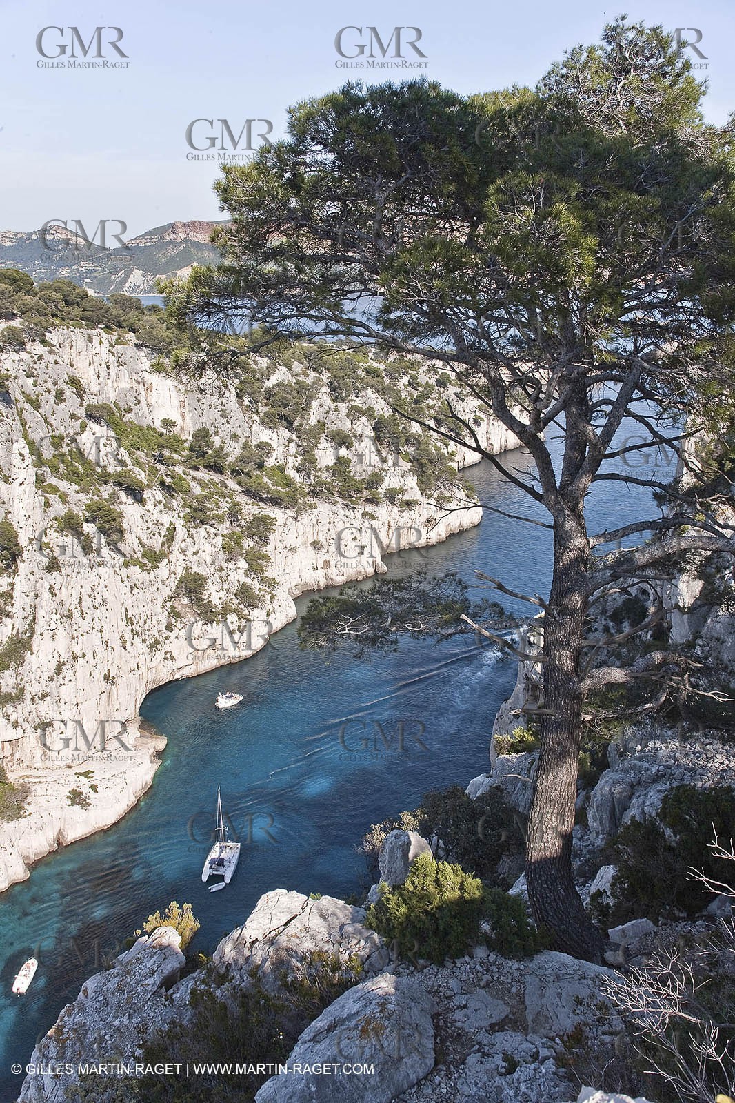 06 05 2009 - Marseille (FRA, 13) - Les Calanques - Sur le plateau de Castelviel - En Vau