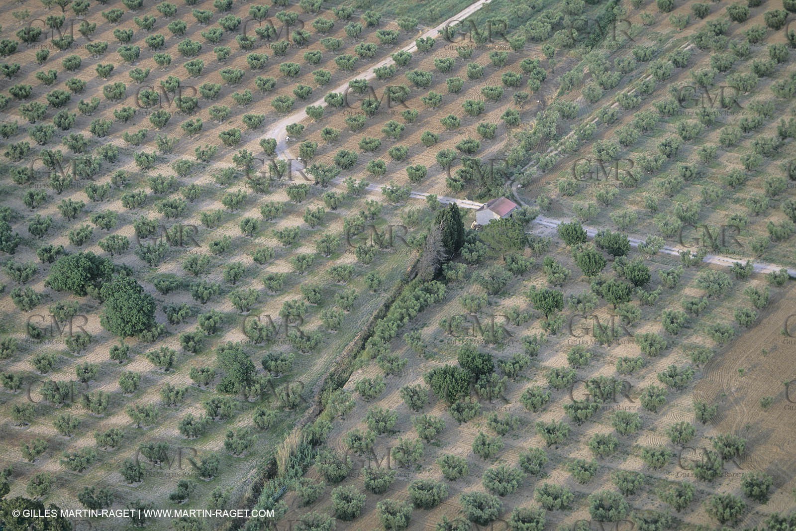 France, south, Alpilles landscapes