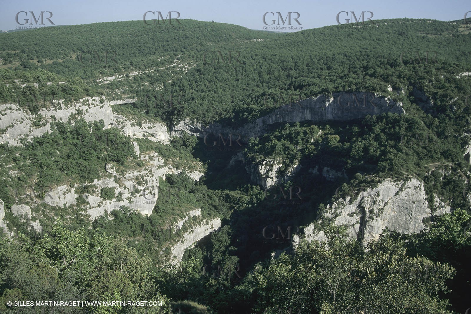 France, Région Provence Alpes Côte d'Azur, Paysage des Alipilles