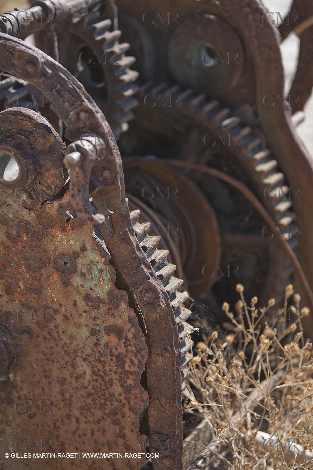 07 09 2009 - Marseille (FRA, 13) - Les Calanques - Calanque de Marseilleveyre
