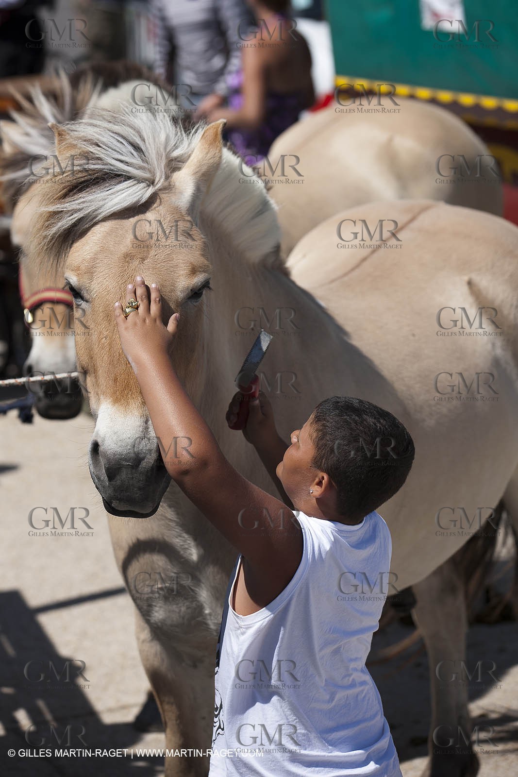 Gipsies gathering - Saintes Maries de la mer