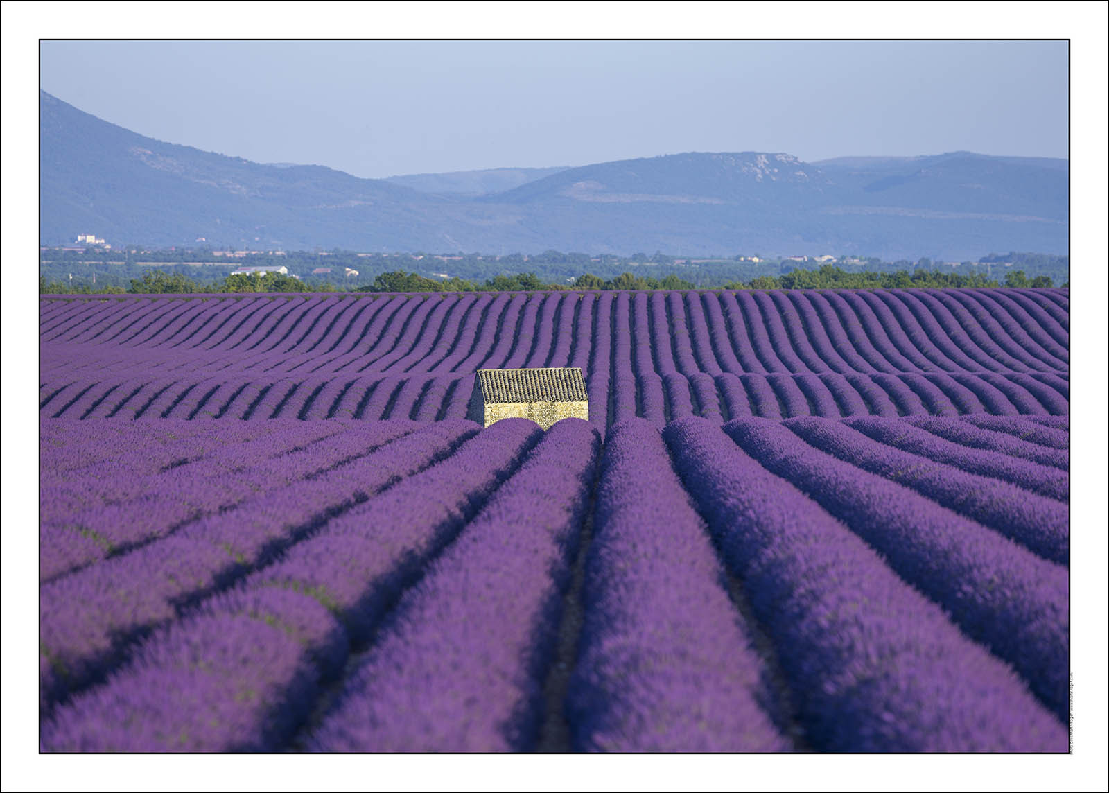 Product: in house made quality print on 8 ultrachome colors Epson ink Jet printer.Available sizes: . 20x30 cm. 30x40 cm. 50x70 cm. 80x120 cmAvailable papers: . Standard 250 gr glossy paper print, black streak, white margin, no signature. Top quality glossy 290 gr. paper, black streak, white margin, checked and signed by the author. Fine Art print (signed, numbered, stamped, registered) on demand. Other supports (Canvas, Acrylic, Metal) on demandPackaging: cylindric reinforced tubeShipping options: regular mail or Shipping companyClick on the basket icon to select your options and start the online ordering process