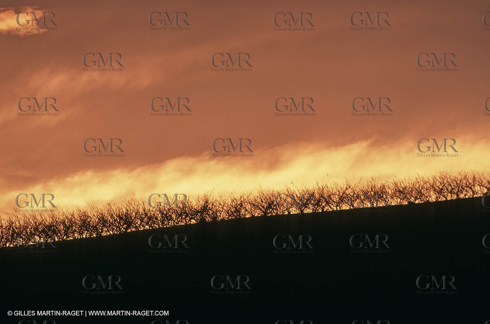 Paysages de Nîmes Métropole (FRA,30) -Costières