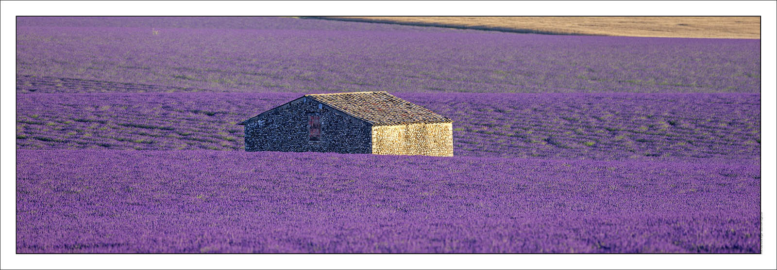 Product: in house made quality print on 8 ultrachome colors Epson ink Jet printer.Available sizes: . 20x 60 cm. 33 x 95 cm. 52 x 150 cmAvailable papers: . Standard 250 gr glossy paper print, black streak, white margin, no signature. Top quality glossy 290 gr. paper, black streak, white margin, checked and signed by the author. Fine Art print (signed, numbered, stamped, registered) on demand. Other supports (Canvas, Acrylic, Metal) on demandPackaging: cylindric reinforced tubeShipping options: regular mail or Shipping companyClick on the basket icon to select your options and start the online ordering process