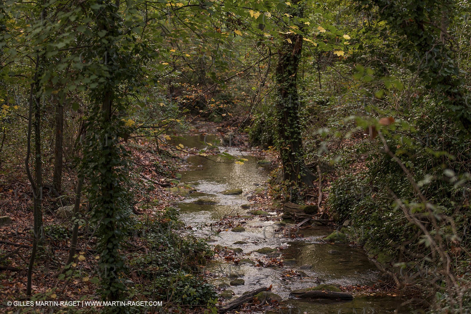 23 10 2012 - Gemenos (FRA) - Départemental Park of Saint Pons valley
