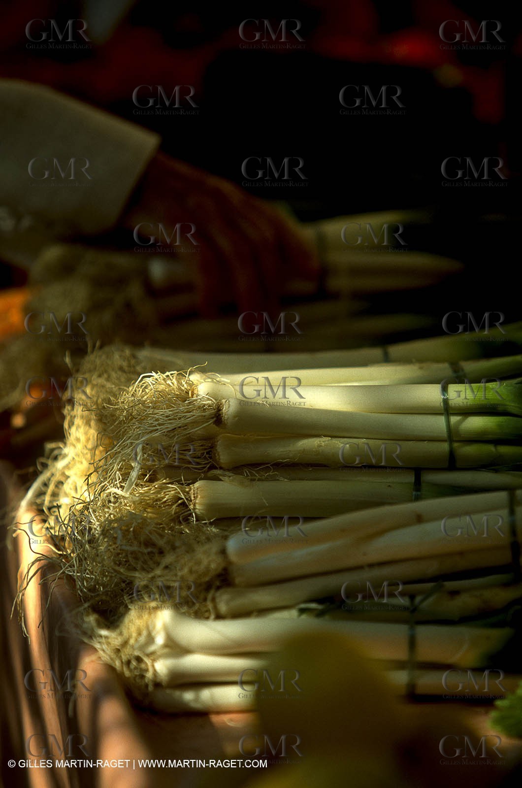 Provence flee markets