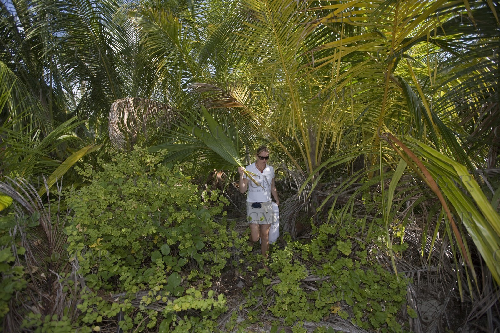 01 02 2008 - San Blas Archipelago (Panama) - Motor Yacht Senses