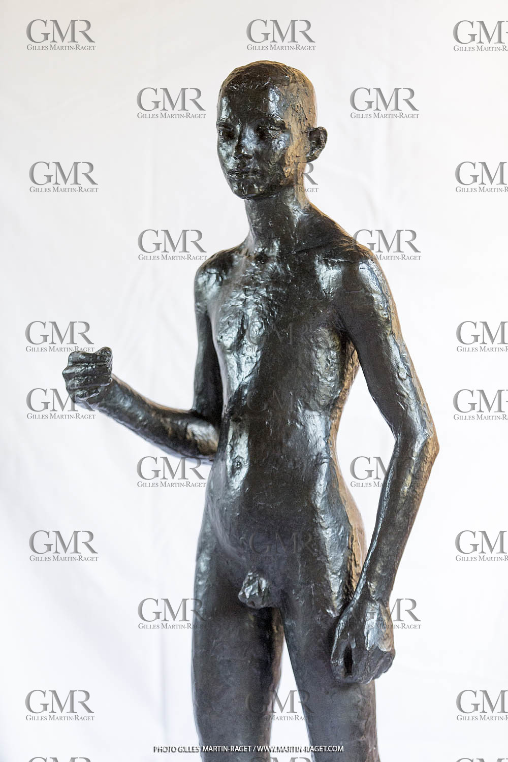 06 03 2016, Saint-Etienne du Grès (FRA,13), Oeuvre de Germaine Richier, Loretto I 1934, Bronze patiné foncé, Numéroté 4 6, fondeur Susse, Paris, 160 x 52 x 35 cm, Collection particulière