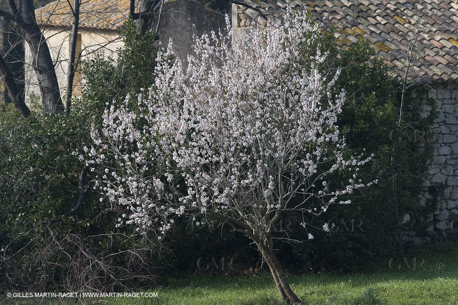 16 02 2008 - Les Baux de Provence (FRA, 13) - Alpilles hills landscapes