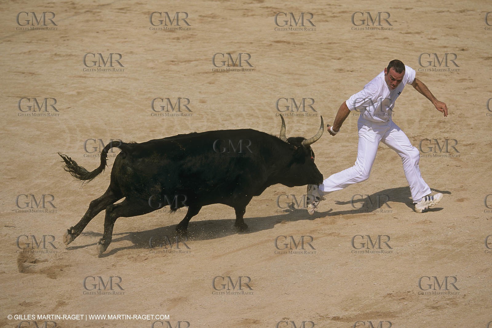 France, Provence, Course libre