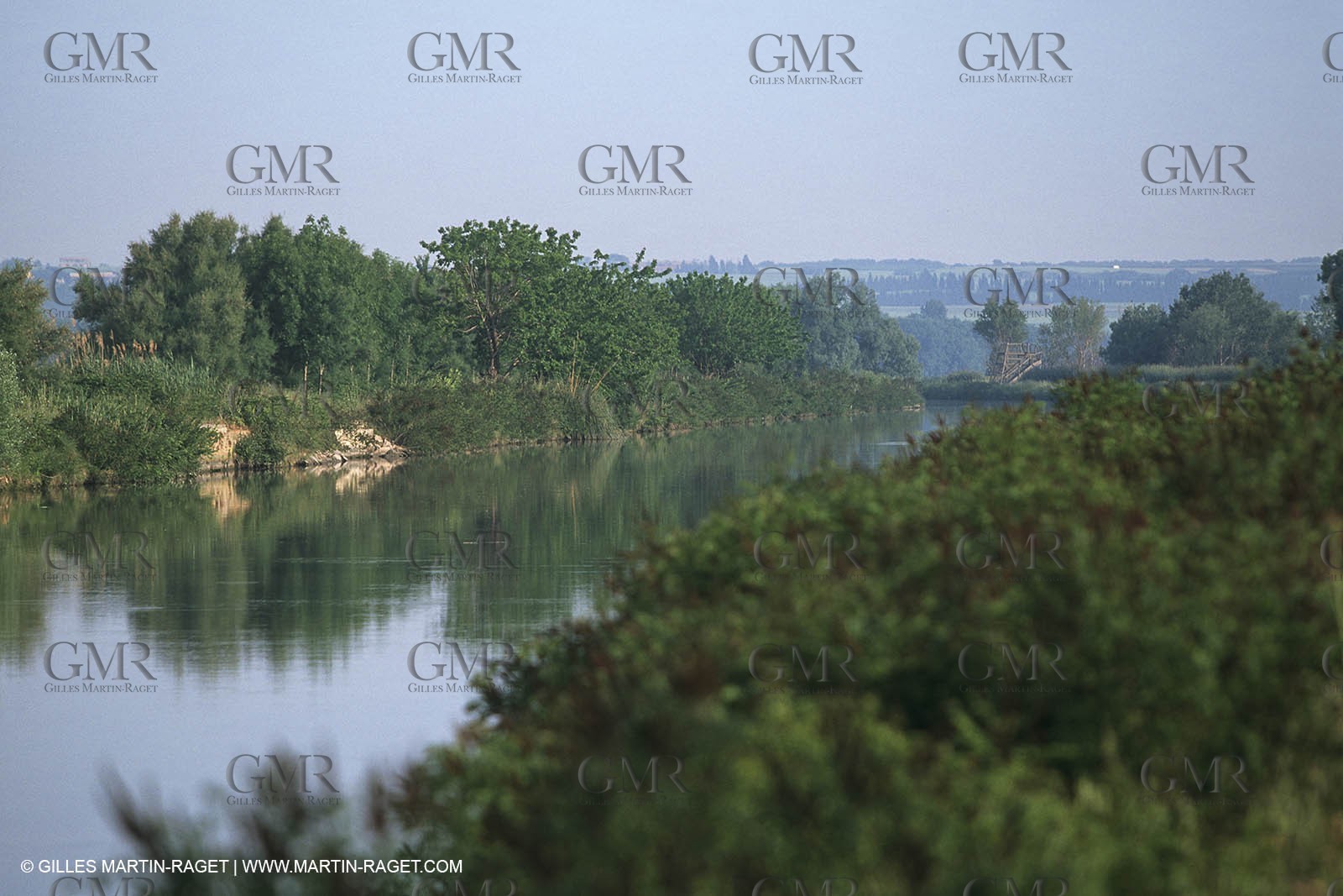 Camargue (FRA,13) - Petite Camargue