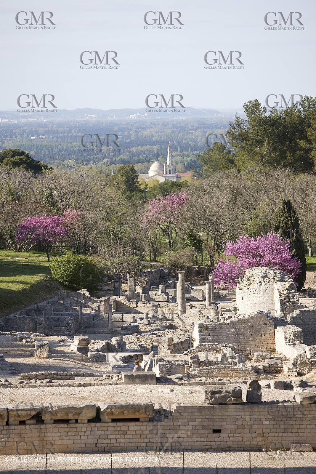 12 04 2008 - Saint Rémy de Provence - (FRA, 13) - Vincent Van Gogh south - Glanum roman ruin