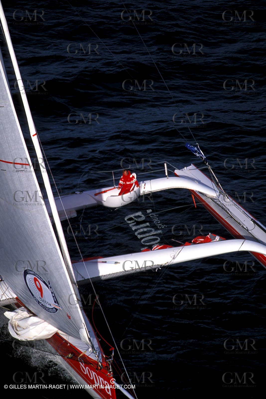 RhuMulti16.jpg